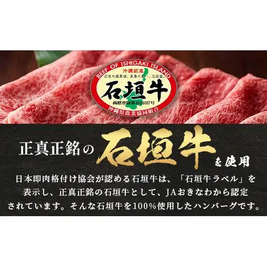 石垣牛100％ ハンバーグ　(100ｇ×15個)　  ID-2