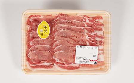 大分県産 米の恵み豚 ロース 計900g（とんかつ用・しゃぶしゃぶ用） 国産 人気 冷凍 豚肉 米の恵み とんかつ しゃぶしゃぶ スライス ロース ＜130-017＞