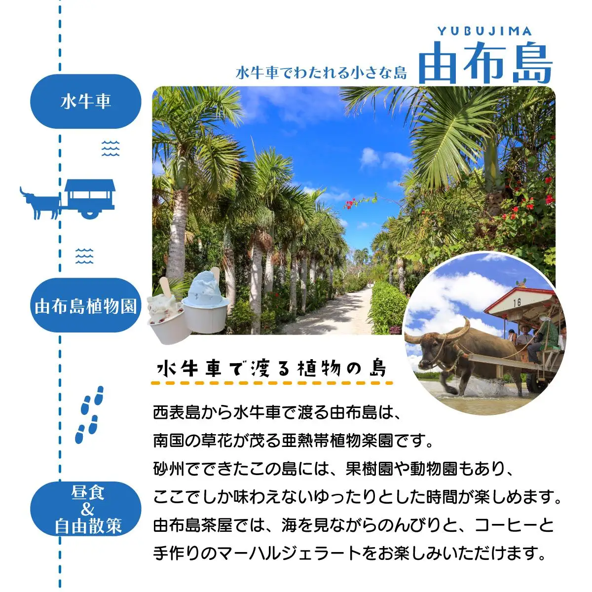 西表島・由布島・竹富島３島めぐり（竹富フリープラン)