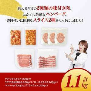 豚肉 「まるみ豚」宮崎県産豚肉 人気セット 計1.1kg 豚肉