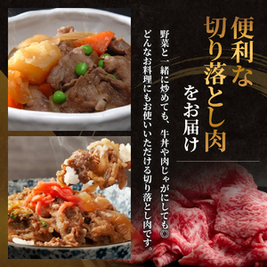 神戸牛 訳あり 切り落とし 400g×2 計800g 小分け 切り落とし 不揃い 規格外 牛肉 肉