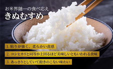 お米 定期便 きぬむすめ 白米 6kg(3kg×2袋) 6ヶ月連続お届け 米 単一原料米 精米 ごはん ご飯 白飯 小分け