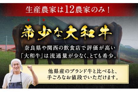 大和牛ヒレステーキ用 160g×3枚 大和牛専門店 一 ステーキ ヒレ ヘレ 黒毛和牛 和牛 牛肉 31-001