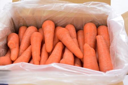 春にんじん 訳あり 有機JAS認証 特別栽培にんじん 10kg　SMF002