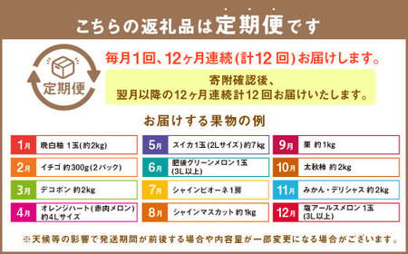 【12か月連続定期便】熊本の旬のフルーツお届け便 （Aコース） フルーツ 果物 くだもの 晩白柚 苺 デコポン みかん 柑橘 蜜柑 メロン すいか メロン シャインマスカット 葡萄 ぶどう 栗 太秋柿 柿 定期便