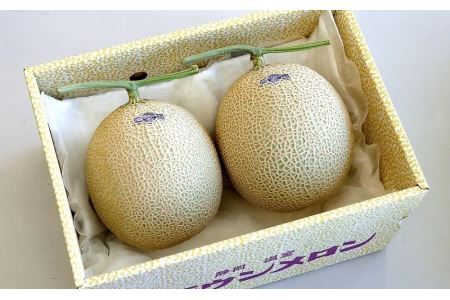 【毎月定期便】クラウンメロン 規格外大玉2玉 全6回【配送不可地域：離島・北海道・沖縄県】【4012631】