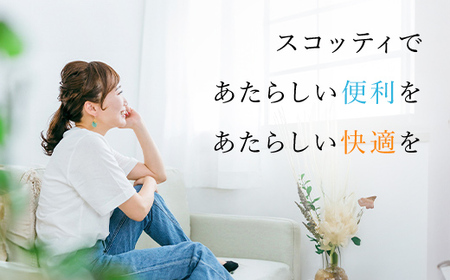 スコッティトイレットロール 48個 + ボックスティッシュ 60箱（トイレットペーパー ティッシュ）
