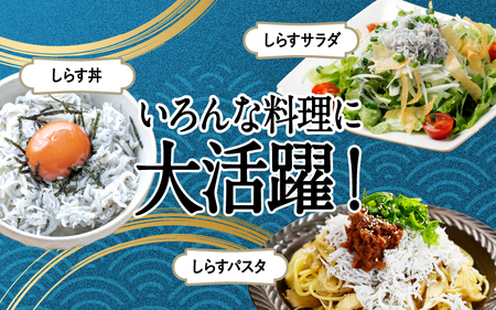 釜揚げ しらす 2kg 兵庫県産 /  しらす