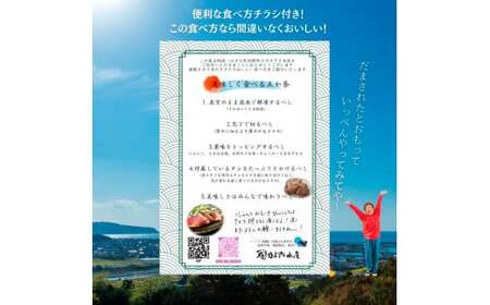  ★訳あり★ 高知県産カツオのわら焼きタタキ（自家製タレ付）1kg 3ヶ月定期便