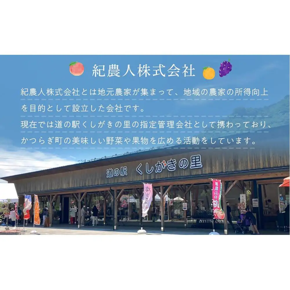 先行販売！［モモ］ 白鳳　桃の王様！約2kg6～8個 ［2026年6月下旬頃より順次発送］［秀品］こだわり農家厳選 ［KG12］