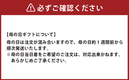 【全12回定期便】 おまかせ フラワーアレンジメント【S】 花 お花 はな 生花 Flower 長崎
