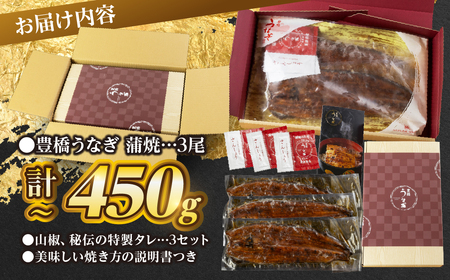 豊橋うなぎ 蒲焼 3尾450g 夏目商店 うなぎ