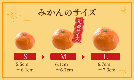 ハウスみかん 2kg L18玉 蜜ツ星 みかん