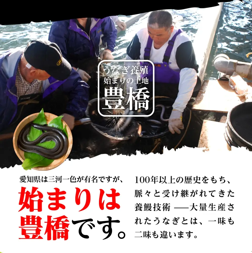 豊橋うなぎ 紅白3尾 国産 うなぎ
