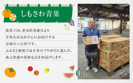 天伯スイカ 1玉 10kg 5L 糖度11 すいか