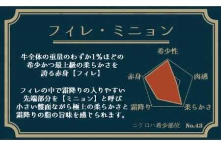 みかわ牛A5 フィレステーキ 400g 牛肉
