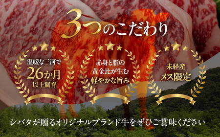 穂の国姫牛 肩ロース・バラ切り 1kg 牛肉