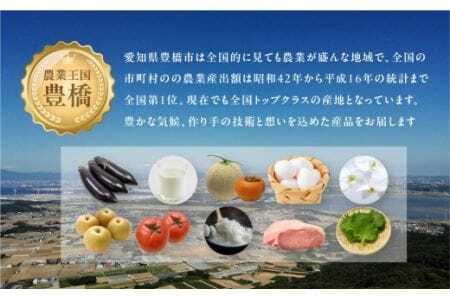 アールスメロン 2玉 1.8kg 糖度保証 メロン