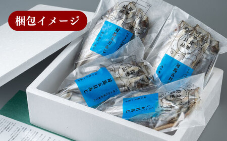 【1週間以内発送】対馬 五月 真あじ 一汐干し 10枚 [WAI009] あじ 干物 アジ 真アジ スピード発送 最速発送 最短発送