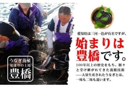 豊橋うなぎ 白焼 3尾 450g 夏目商店 うなぎ