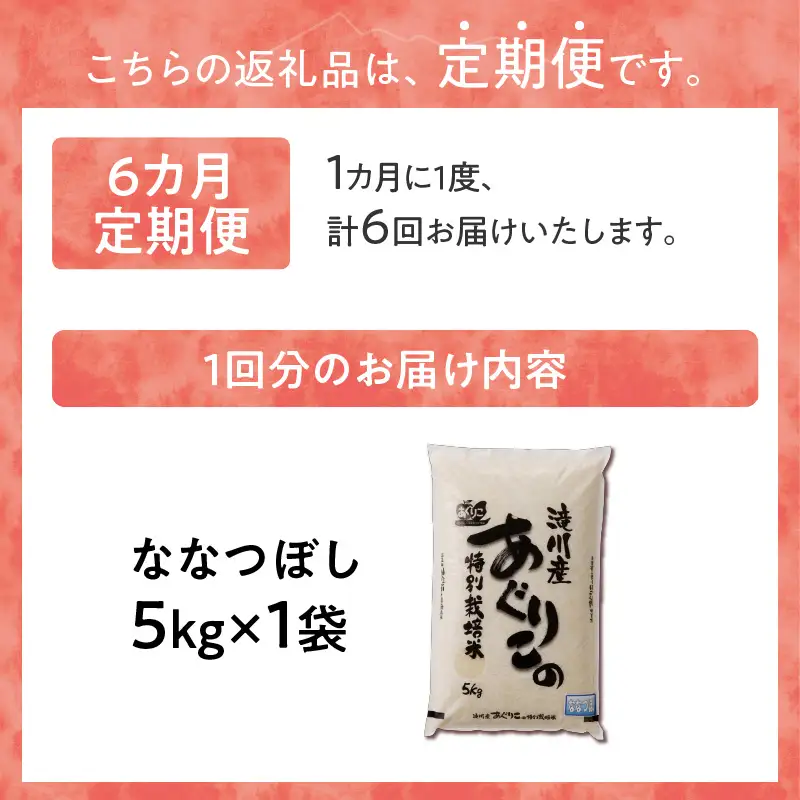 《令和7年産》特別栽培米ななつぼし 5kg×6ヵ月定期便 | 16年連続特A ブランド米 白米 精米 米 お米 こめ 減農薬 単一原料米 ご飯 北海道米 北海道 滝川市