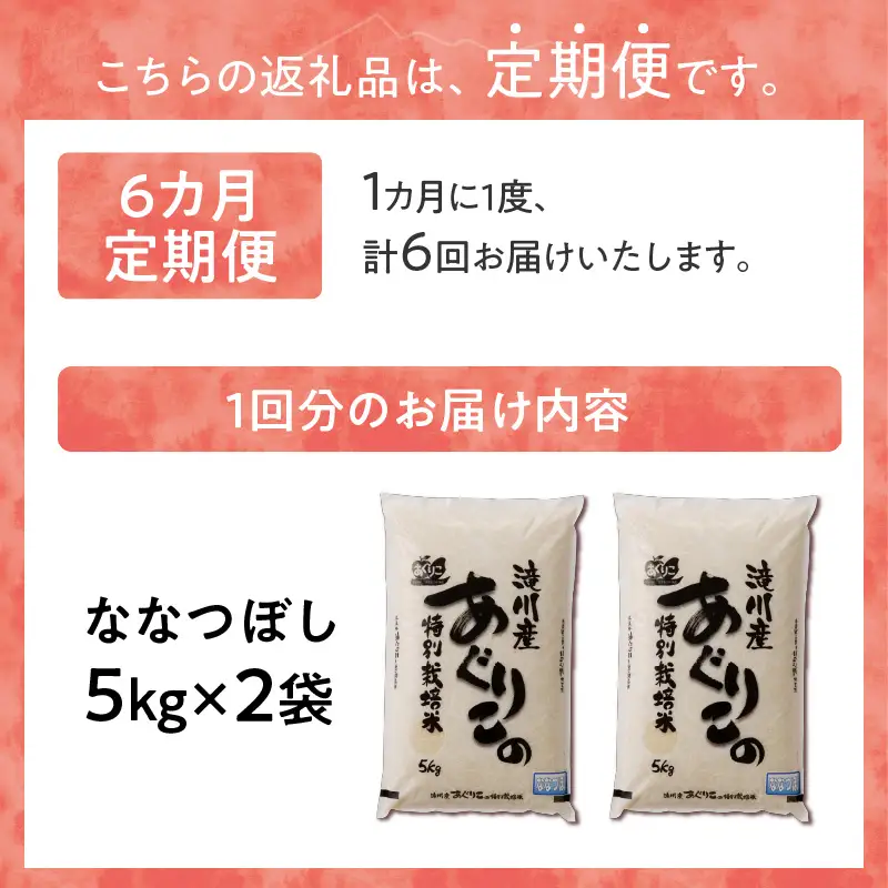 《令和7年産》特別栽培米ななつぼし 10kg×6ヵ月定期便 | 16年連続特A ブランド米 白米 精米 米 お米 こめ 減農薬 単一原料米 ご飯 北海道米 北海道 滝川市