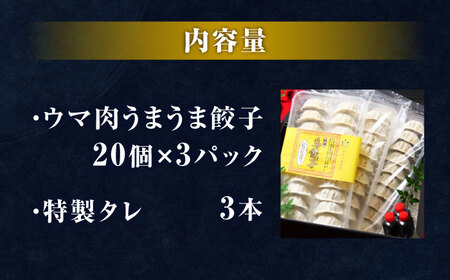 新感覚！ウマ肉うまうま餃子（20個×3パック）【オルガニコ山鹿】[ZFH006]
