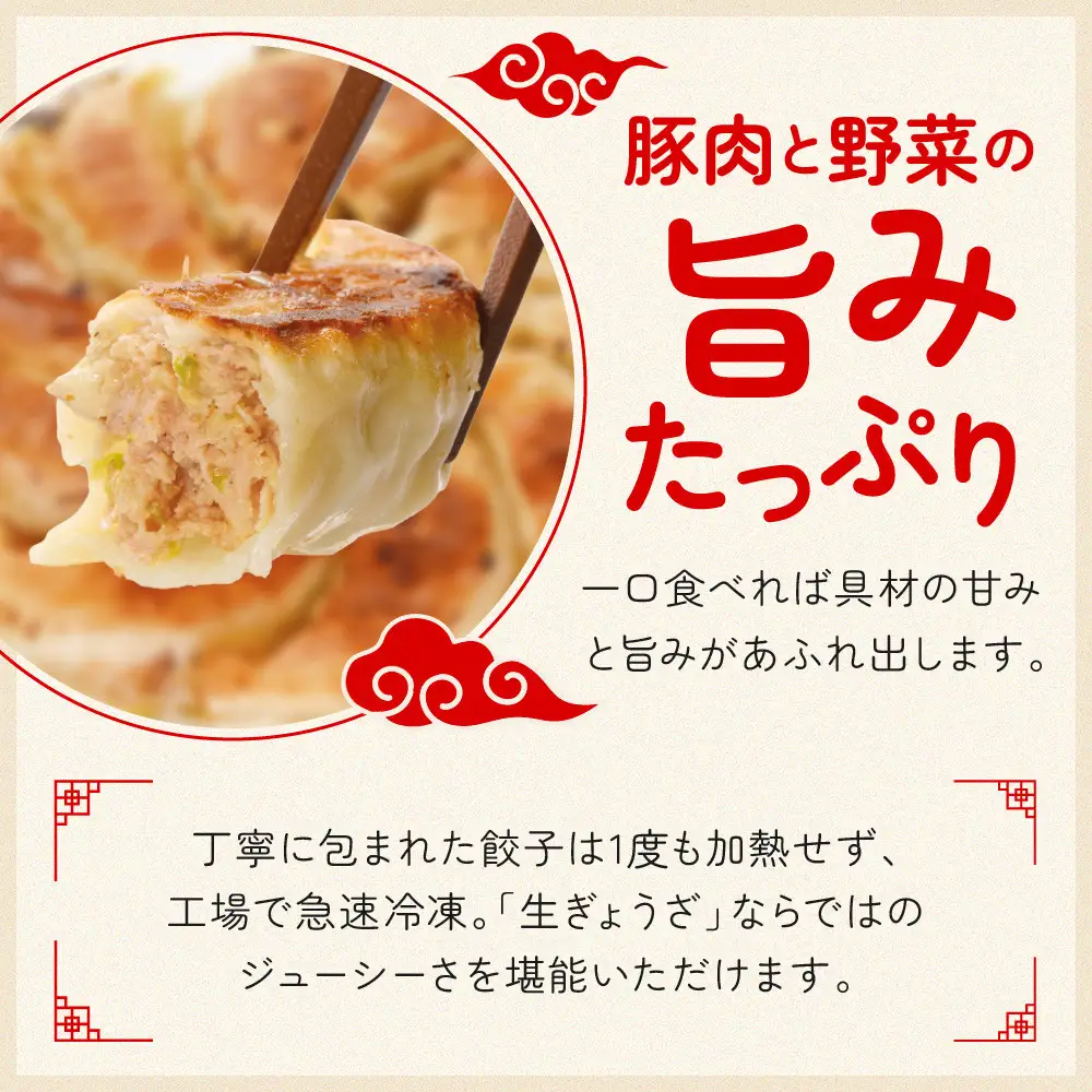 ぎょうざの満洲 冷凍生餃子10パック(120個)