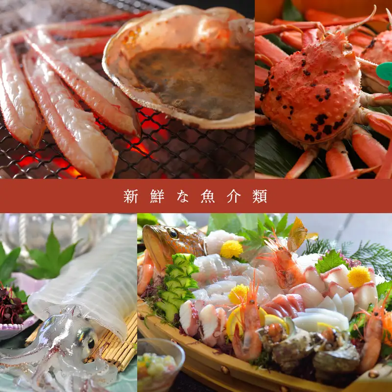 【京丹後市観光公社】京丹後宿泊クーポン　5枚（50,000円分）【海の京都】＜ 旅行 旅券 クーポン 宿 宿泊 宿泊クーポン 宿泊券 温泉 ホテル 京都府 京丹後市 高級宿 旅館 カニ 蟹 ＞