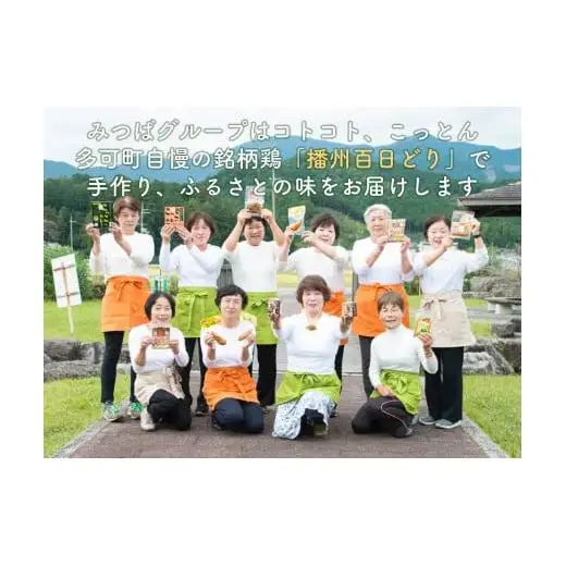 とり三昧 とりめしの具 常温 レトルト 2～3人分 播能チキン とりつまみ 播州百日どり おつまみ 酒の肴  五つ星ひょうご 3点セット[1128]