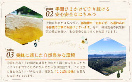 国産 無添加 MINOKAMO HONEY はちみつ 2本（300g×2） 合計600g