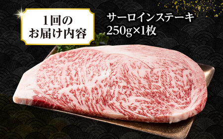 【全2回定期便】【A4～A5ランク】長崎和牛 サーロインステーキ 250g（250g×1枚）《壱岐市》【株式会社MEAT PLUS】 肉 牛肉 黒毛和牛 サーロイン ステーキ ご褒美 ギフト 贈答用 ご褒美 冷凍配送 A4 A5 [JGH123]