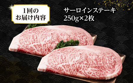 【全2回定期便】【A4～A5ランク】長崎和牛 サーロインステーキ 500g（250g×2枚）《壱岐市》【株式会社MEAT PLUS】 肉 牛肉 黒毛和牛 サーロイン ステーキ ご褒美 ギフト 贈答用 ご褒美 冷凍配送 A4 A5 [JGH127]