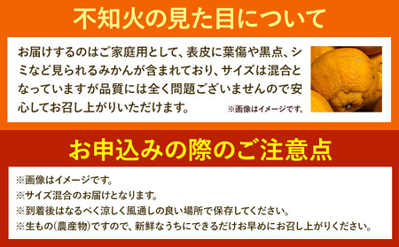 みかん 不知火 ご家庭用 5kg サイズ混合
