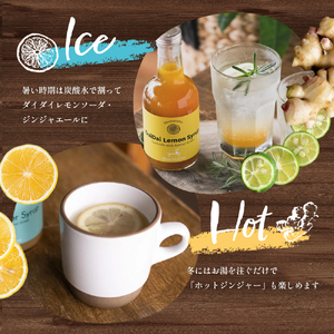 【 小豆島 】小豆島ジンジャー&ダイダイレモンシロップ2本セット シロップ ジンジャー  飲料 ドリンク シロップ ギフト 贈り物 香川 香川県 土庄 土庄町