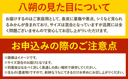 みかん 八朔 ご家庭用 10kg サイズ混合