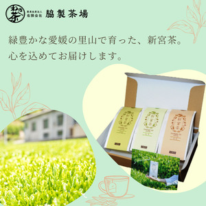SHINGOOD TEA (シングッドティー) ベーシックセット