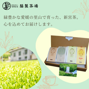 SHINGOOD TEA (シングッドティー) おすすめセット