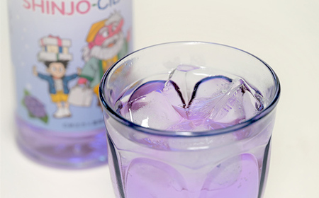 漫画家 冨樫義博氏デザイン「かむてん」を使用したラベル かむてん SHINJO-CIDER 340ml×6本 サイダー 炭酸 飲料 F3S-2235