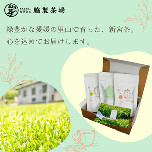 SHINGOOD TEA (シングッドティー) 水出しセット