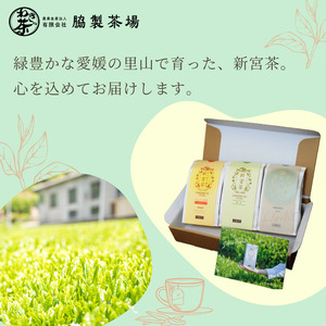 SHINGOOD TEA (シングッドティー) フレーバーセット