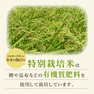 a19-057　ミルキークイーン あきの掬び 5kg×1袋