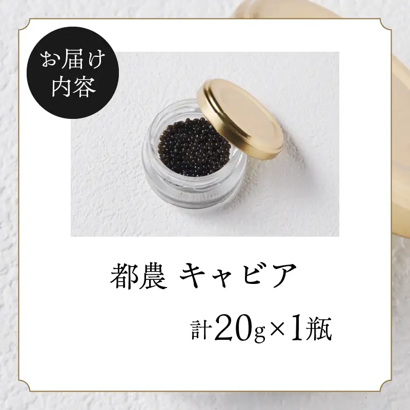 【2週間以内発送】都農キャビア(計20g) 魚 魚介 魚卵 国産_T047-0025