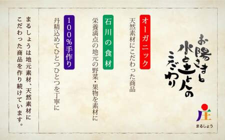 たい焼き 6種入り 小松たい焼き