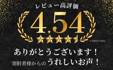 佐賀牛もも薄切り (しゃぶしゃぶ・すき焼き用)300g【佐賀牛の赤身で鍋を楽しむ】しゃぶしゃぶ 牛肉のしゃぶしゃぶ すきやき モモ 牛肉 黒毛和牛 極上の佐賀牛 厳選 うすぎり ウスギリ 牛すき焼き N13-1