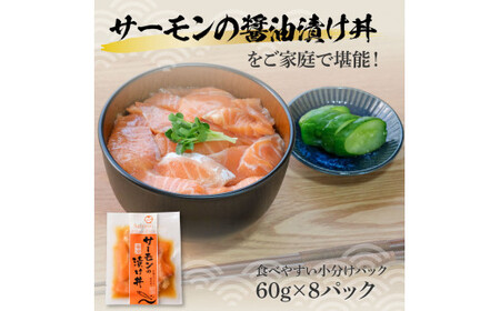 サーモンの醤油漬け丼 8袋セット 1パック60g 漬け丼 海鮮丼 サーモン丼 出汁茶漬け おかず おつまみ 惣菜 魚 魚介類 海鮮 個包装 小分け 真空パック 簡単【企業組合　宇佐もん工房】 [BQAB057]