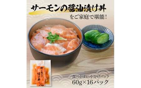 サーモンの醤油漬け丼 16袋セット 1パック60g 漬け丼 海鮮丼 サーモン丼 出汁茶漬け おかず おつまみ 惣菜 魚 魚介類 海鮮 個包装 小分け 真空パック 簡単【企業組合　宇佐もん工房】 [BQAB058]