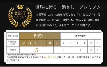 佐賀牛肩ロース焼肉用500g【適度な霜降りと濃厚なうま味！】 牛肉 黒毛和牛 極上の佐賀牛 厳選 500グラム お肉 おにくギフト プレゼント 贈り物 N25-14