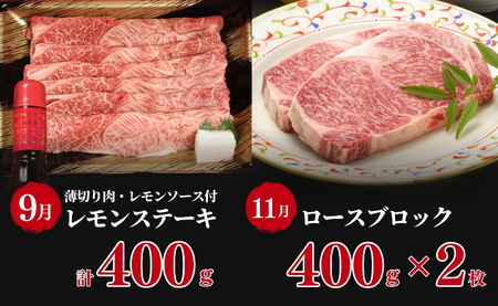 【6人に1人がリピーター！】素敵な佐賀牛ステーキ定期便！通年6回！ ロースステーキ モモステーキ カルビ サイコロステーキ レモンステーキ ロース ブロック 牛肉 黒毛和牛 お肉 N150-8