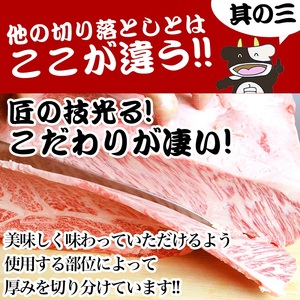 松阪牛 切り落とし (500g×2) 牛肉 松阪牛 高級 和牛 焼肉 BBQ バーベキュー 牛 松阪牛肉 ブランド牛 黒毛和牛 松阪 人気 自宅用 グルメ お取り寄せ 日本三大和牛 誕生日 お祝い ご馳走 パーティー 贅沢 松良 